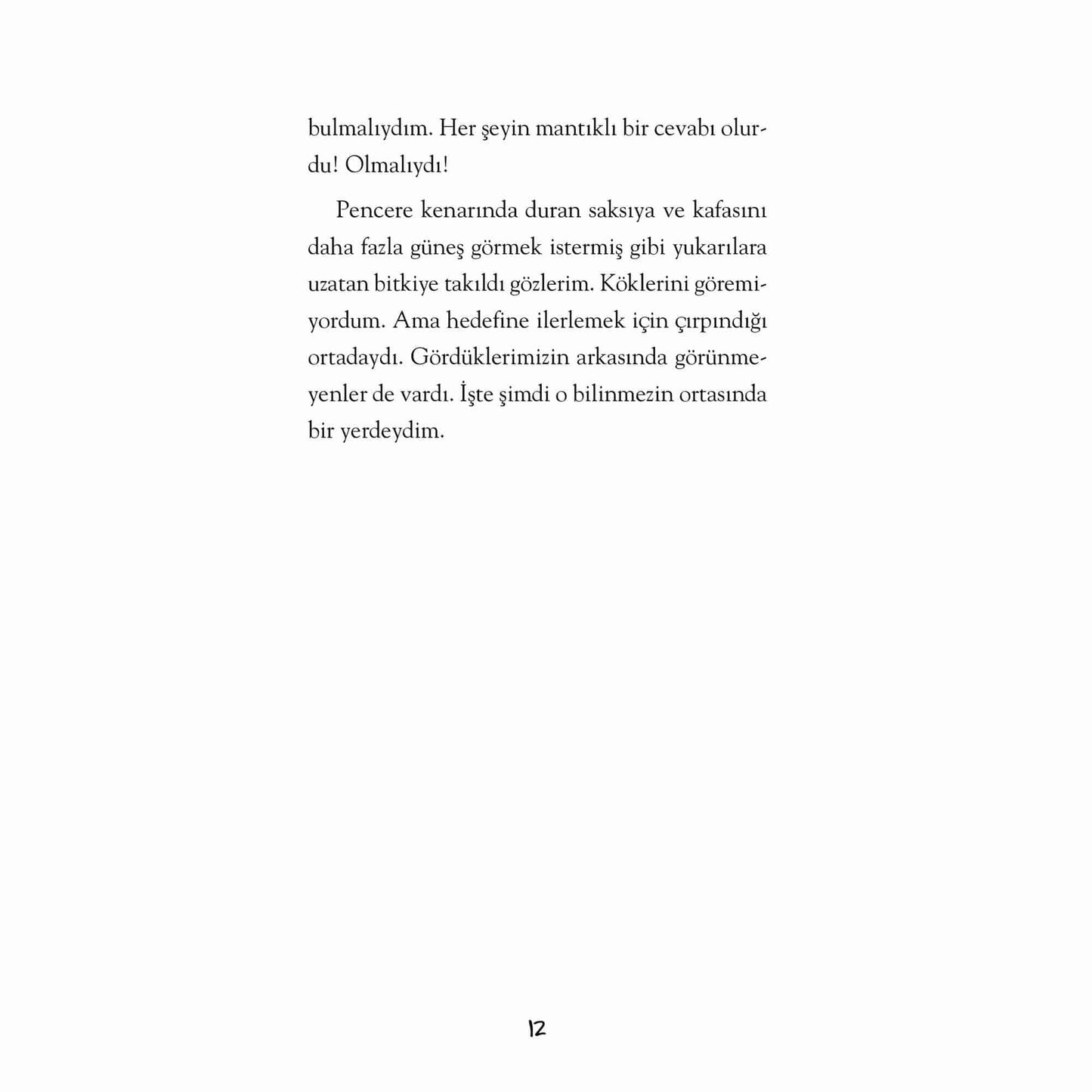 Linç Çıkmazı
